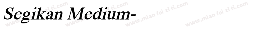 Segikan Medium字体转换